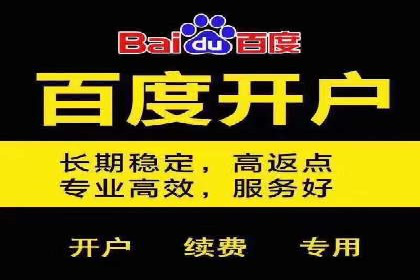 精选案例分享：SEM代运营公司效果展示